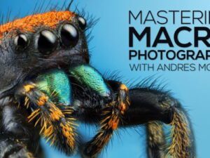Andres Moline – Fstoppers – Mastering Macro Photography Download
