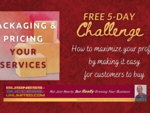 How to ‘Package & Price Your Services’ in just 5 Days