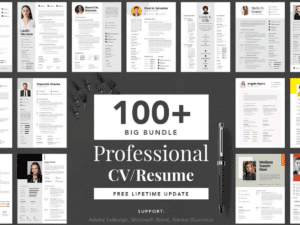 Big Bundle Professional CV Resume Download