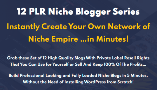 12 PLR Niche Blogs Bundle Free Download