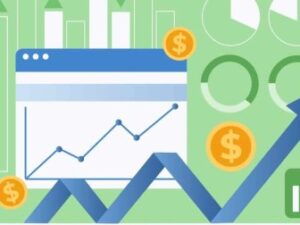 Shalom Martin - Cryptocurrency Trading and Investing Course Free Download