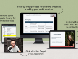 Danbee Shin – Website Audit Masterclass Download