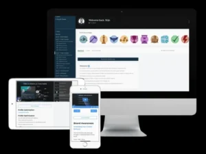 Stijn Noorman – The X Growth System