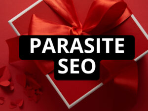 Jesper Nissen – Parasite Seo Course Download
